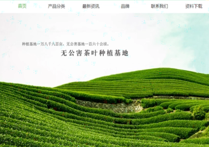 茶葉網站建設！